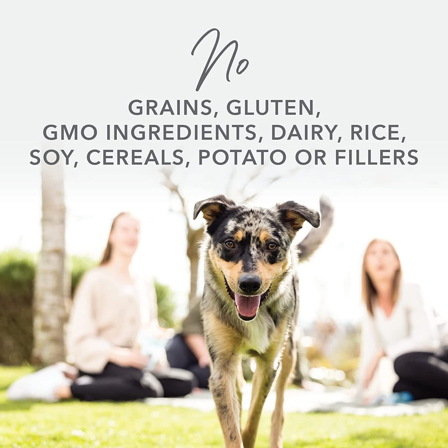 - Grain Free Freeze Dried Dog Food Topper - Lamb & Salmon, 3.5Oz