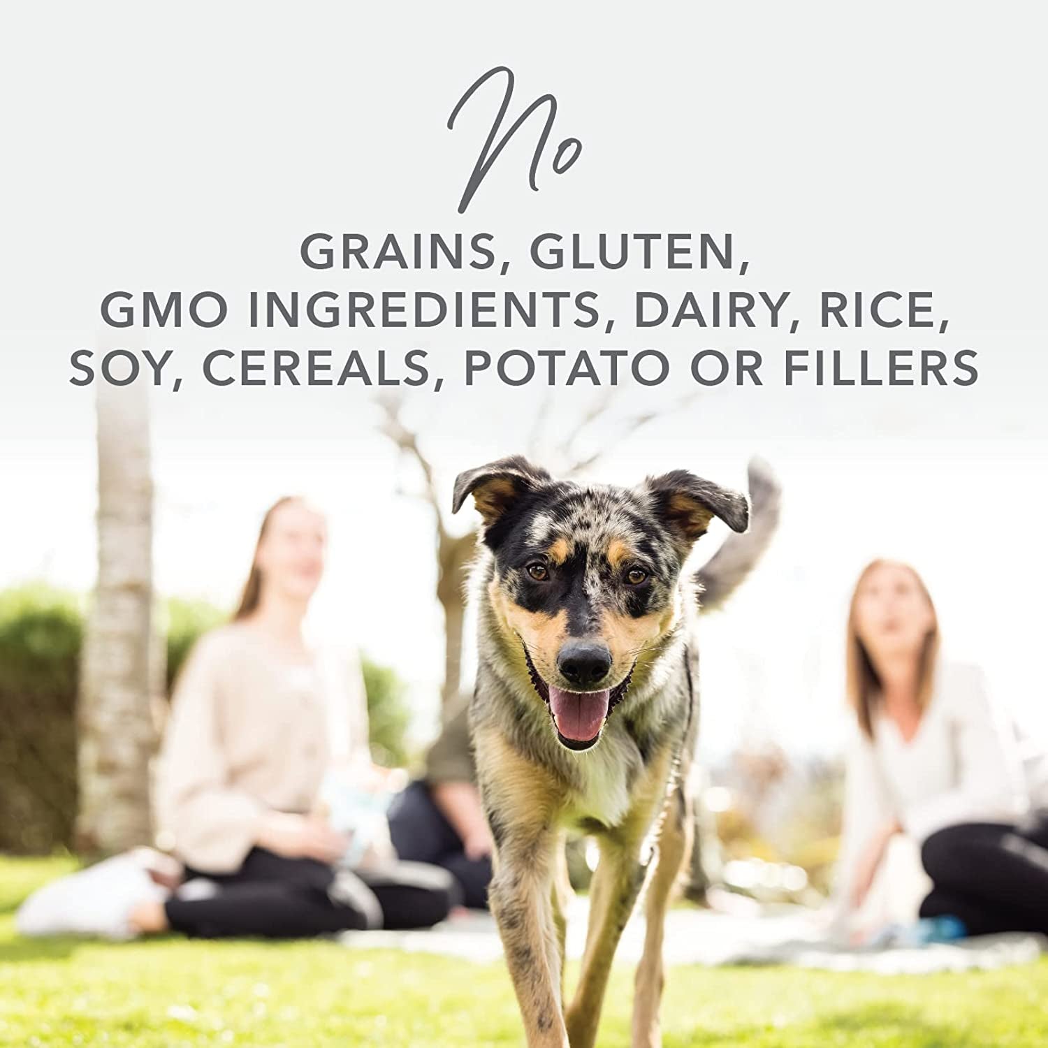 - Grain Free Freeze Dried Dog Food Topper - Lamb & Salmon, 3.5Oz