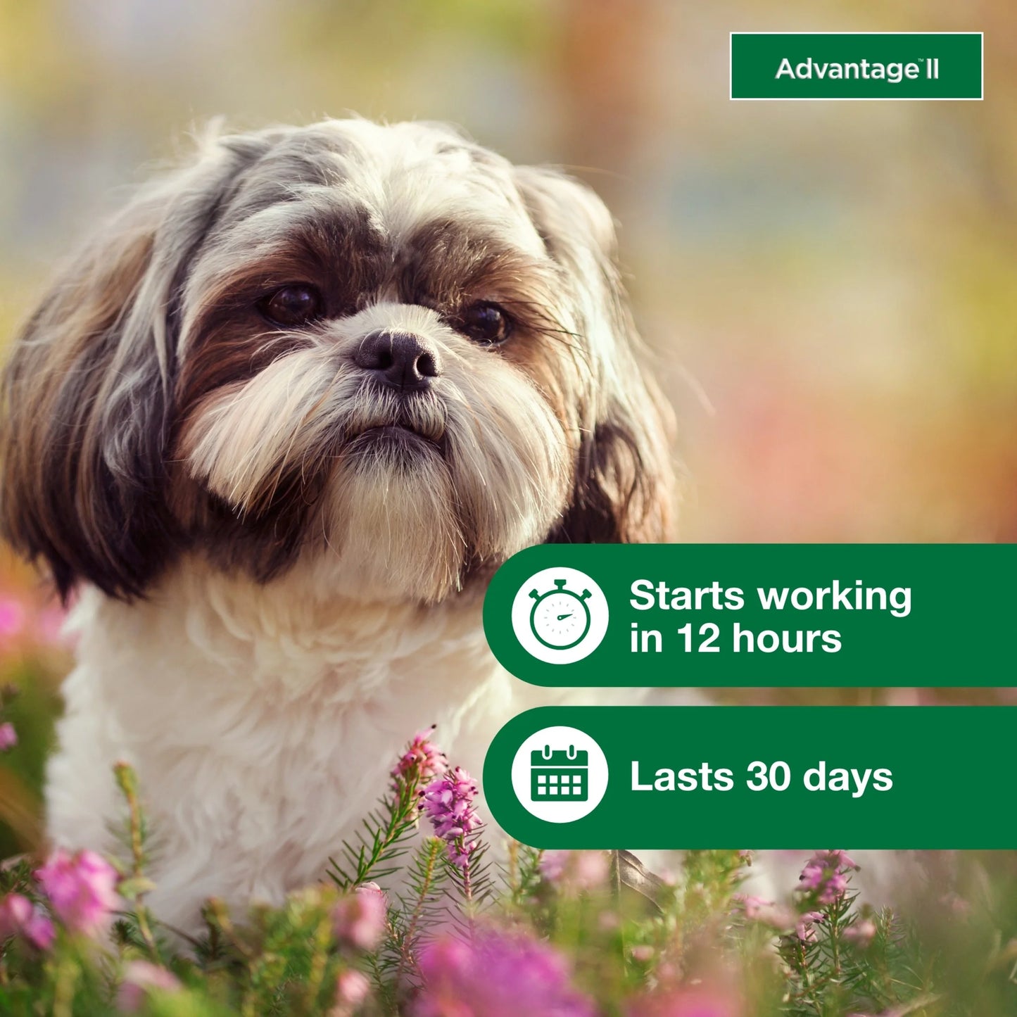 Vet-Recommended Flea Prevention for Small Dogs 3-10 Lbs, 4-Monthly Treatments