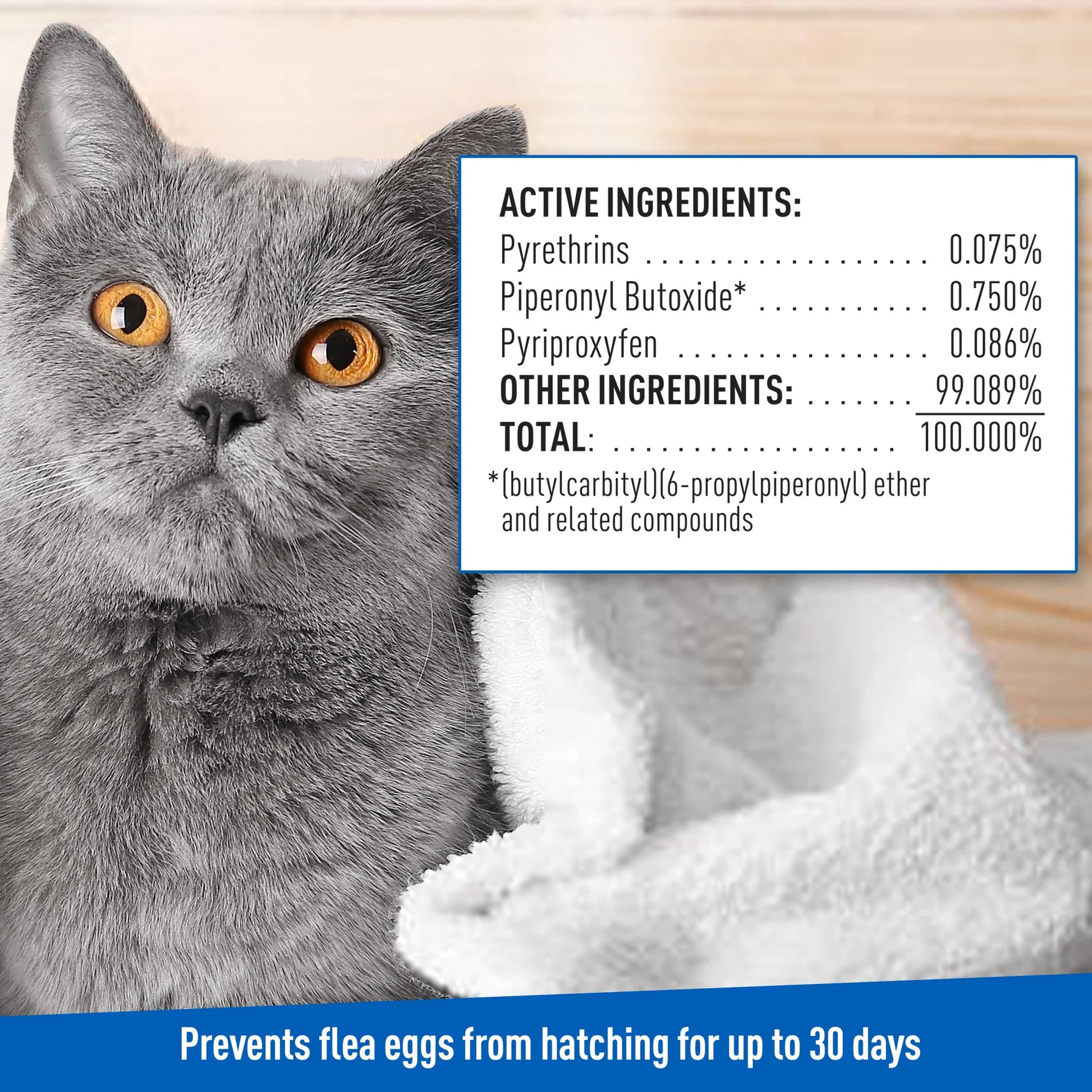 Flea & Tick Cleansing Shampoo for Cats, Flea and Tick Treatment for Cats and Kittens, Unscented, 12 Ounces