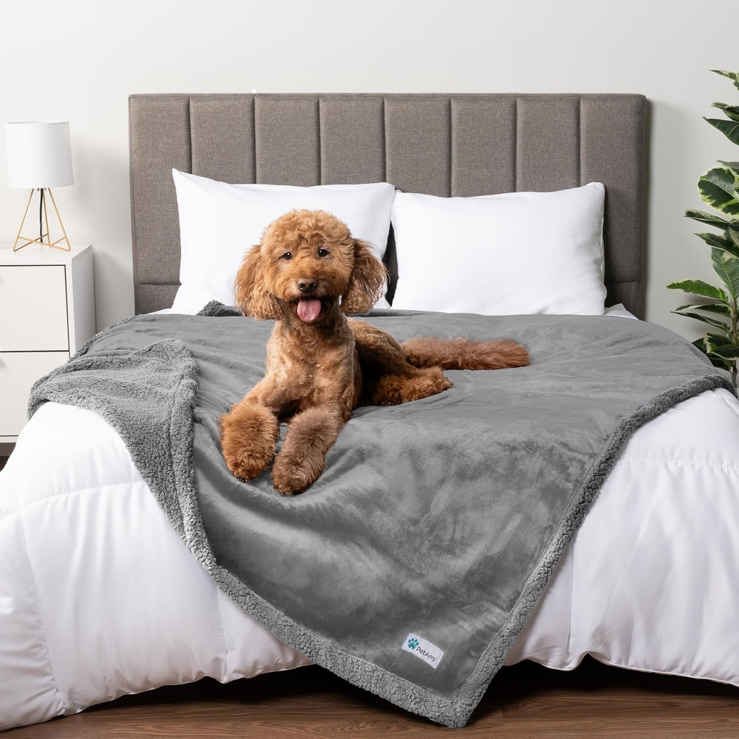 Waterproof Dog Blanket for Queen Bed Large XL Dog Throw for Couch Cover Leakproof Furniture Protection, Sherpa Fleece, Reversible Soft Washable 90X90 Light Gray