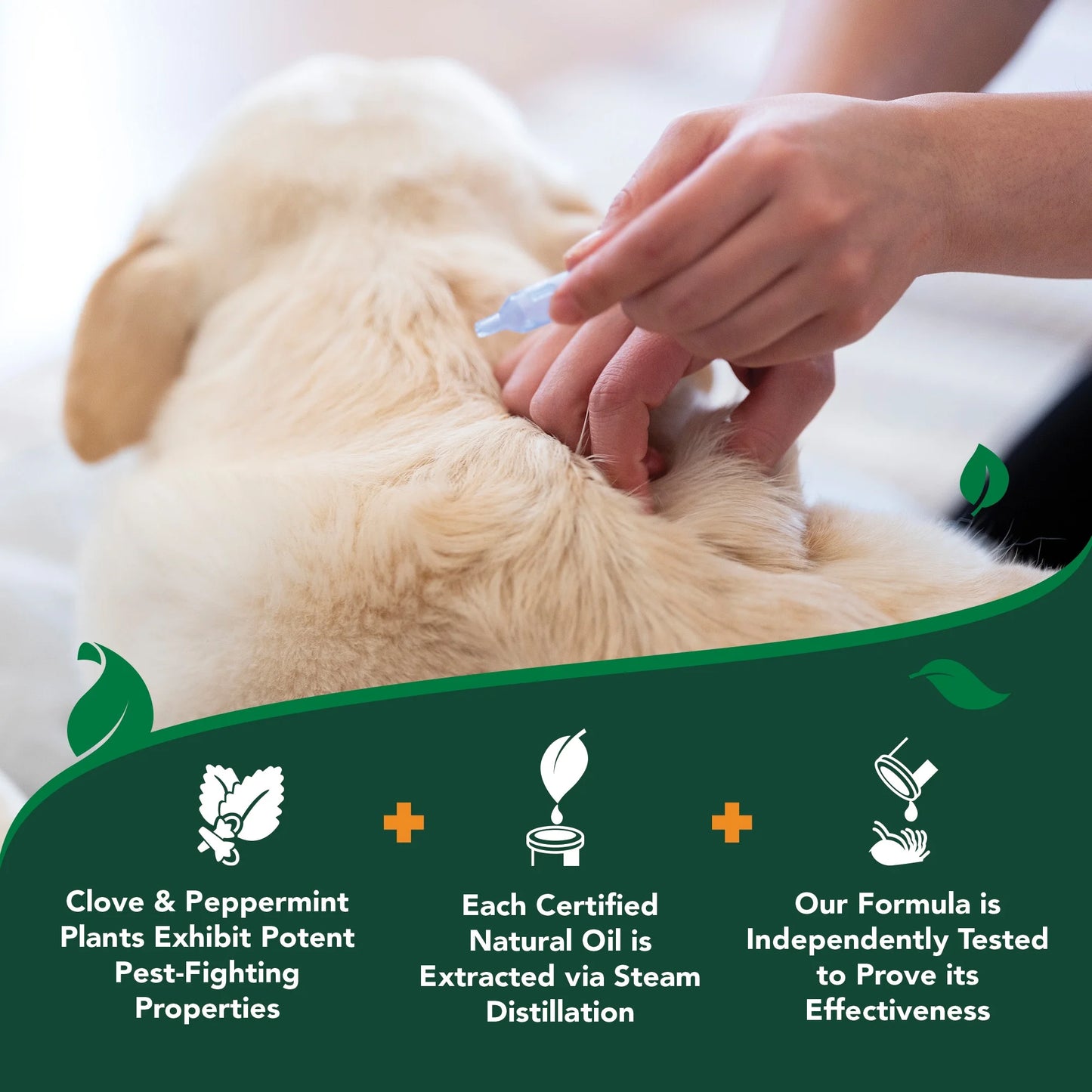 Flea and Tick Spot-On Drops, Topical Flea and Tick Prevention for Dogs - Plant-Based Formula - Certified Natural Oils - for Large Dogs - 4 Month Supply