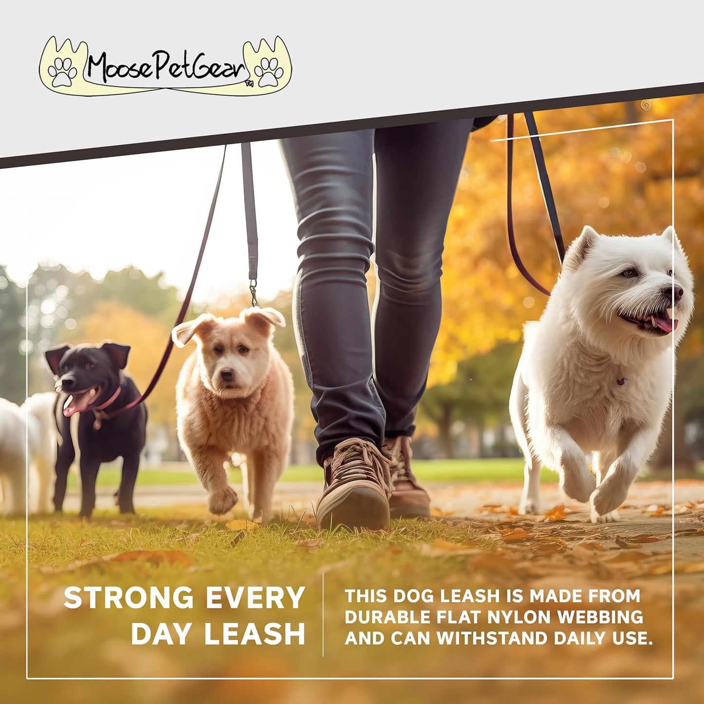 Camo Dog Leash - Camouflage Dog Lead Waterproof with Easy Grip Loop - 1 Inch X 6 Feet, Camouflage