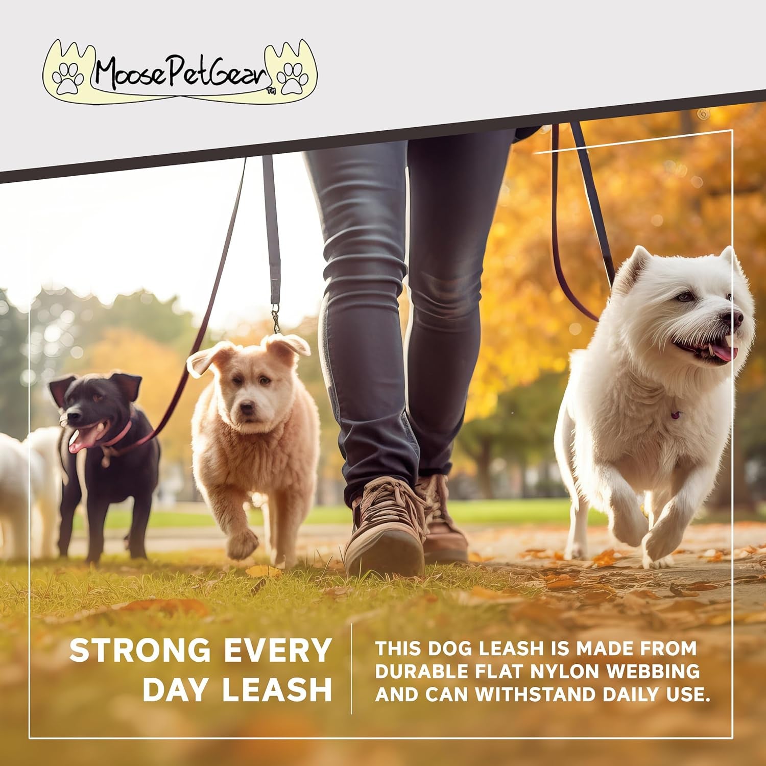 Camo Dog Leash - Camouflage Dog Lead Waterproof with Easy Grip Loop - 1 Inch X 6 Feet, Camouflage