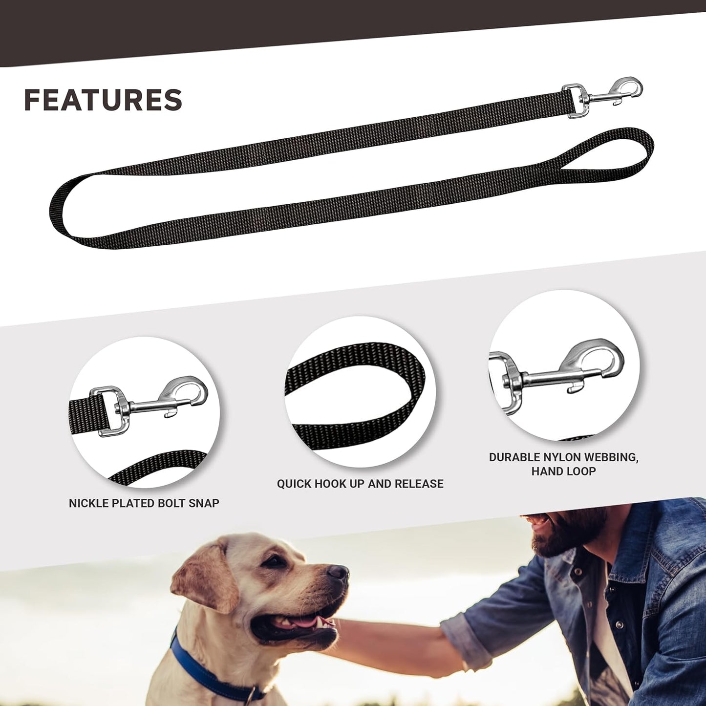 Camo Dog Leash - Camouflage Dog Lead Waterproof with Easy Grip Loop - 1 Inch X 6 Feet, Camouflage