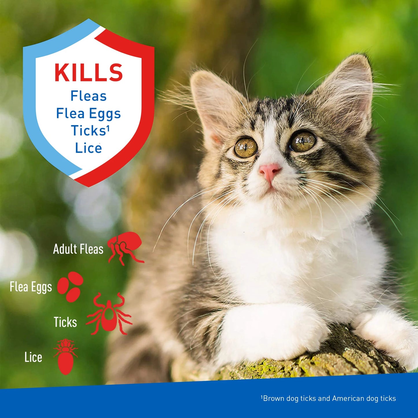 Flea & Tick Cleansing Shampoo for Cats, Flea and Tick Treatment for Cats and Kittens, Unscented, 12 Ounces