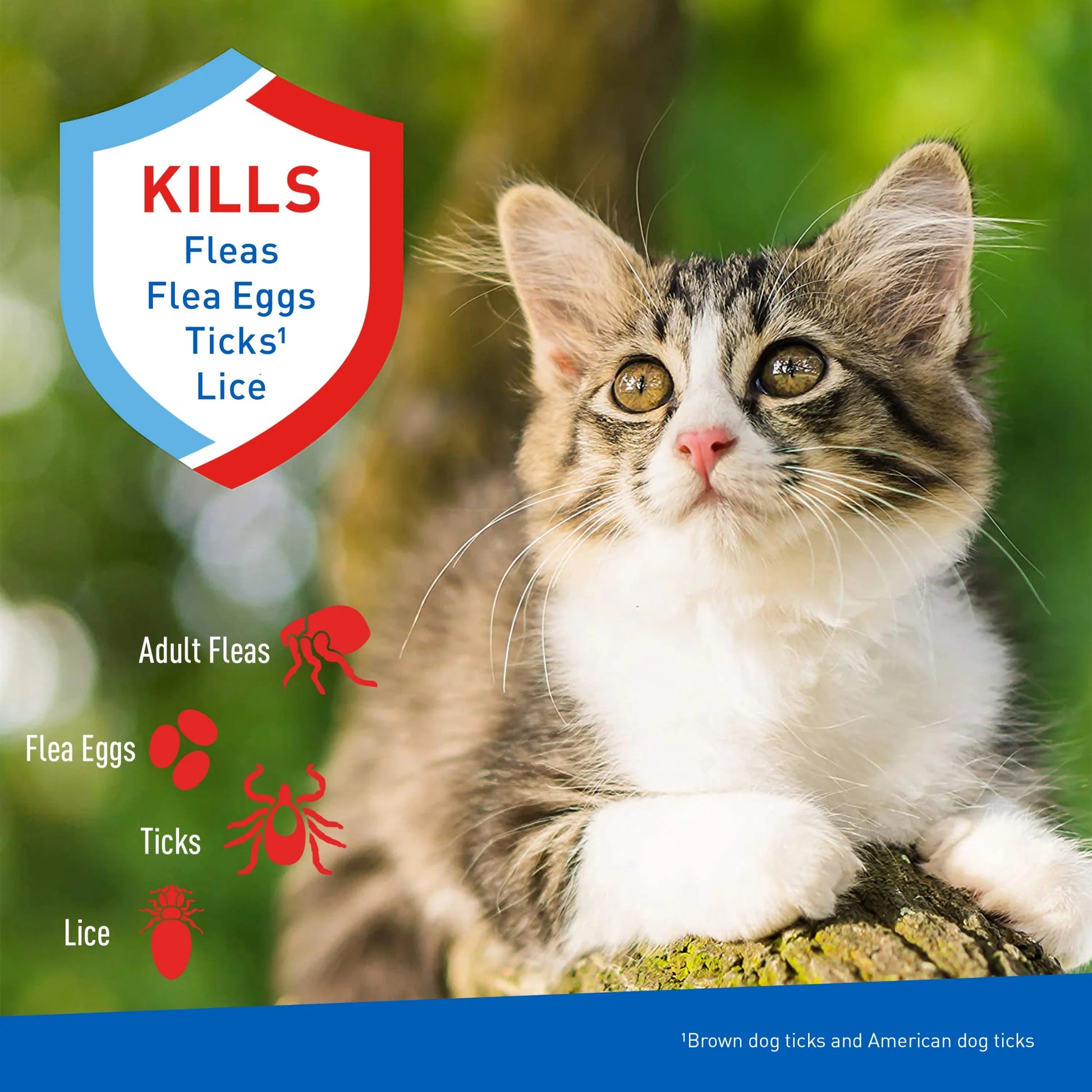 Flea & Tick Cleansing Shampoo for Cats, Flea and Tick Treatment for Cats and Kittens, Unscented, 12 Ounces