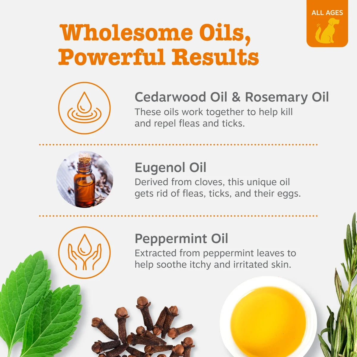 Flea & Tick Shampoo for Dogs, to Repel Flea & Ticks, Peppermint Oil Scented, 16Oz Bottle