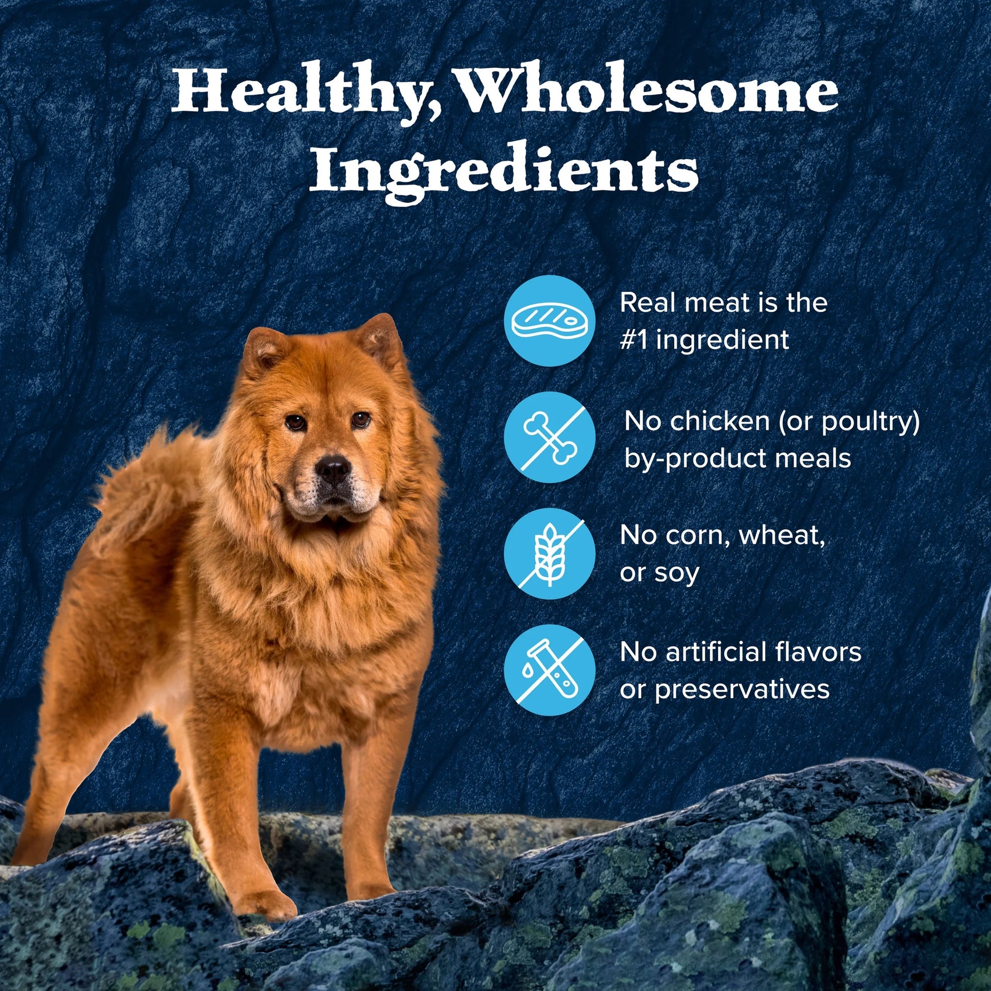 (4 Pack)  Wilderness Wild Cuts Wet Dog Food Toppers, Chicken & Beef, 3-Oz. (12 Count)